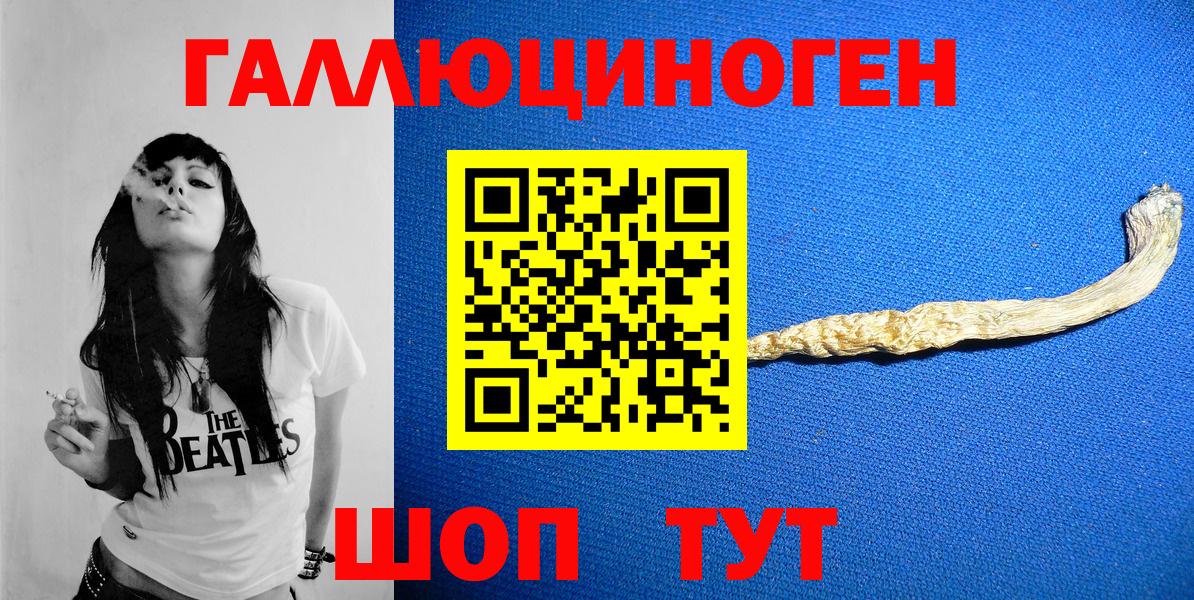 как найти   Вход с VPN  Чистополь  Псилоцибиновые грибы мухоморы 